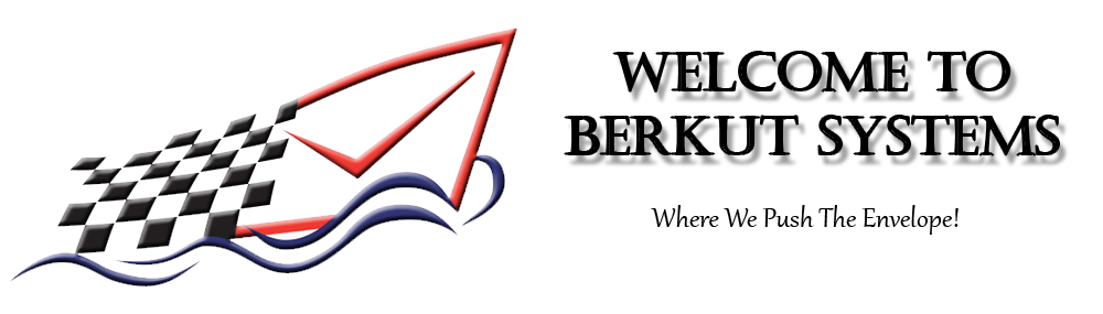 Berkut Systems Logo
