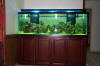 The aquarium - showing too much 'green'.  The aquarium is crystal clear.