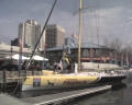 A shot of the boat that arrived first into the Norfolk port call. This sailor was something like 2300 miles ahead of this closest competitor.